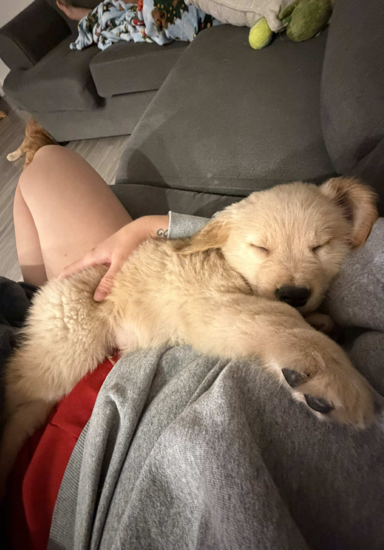 @Teddy🧸
