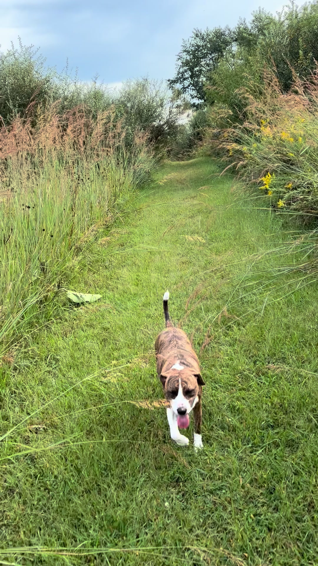 @Hikingwithstanley