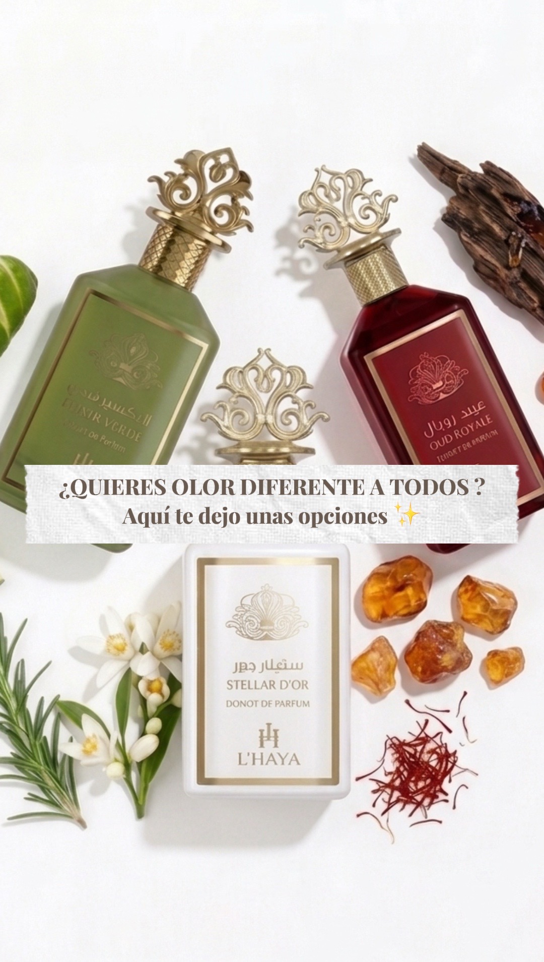 @loluglowfragance