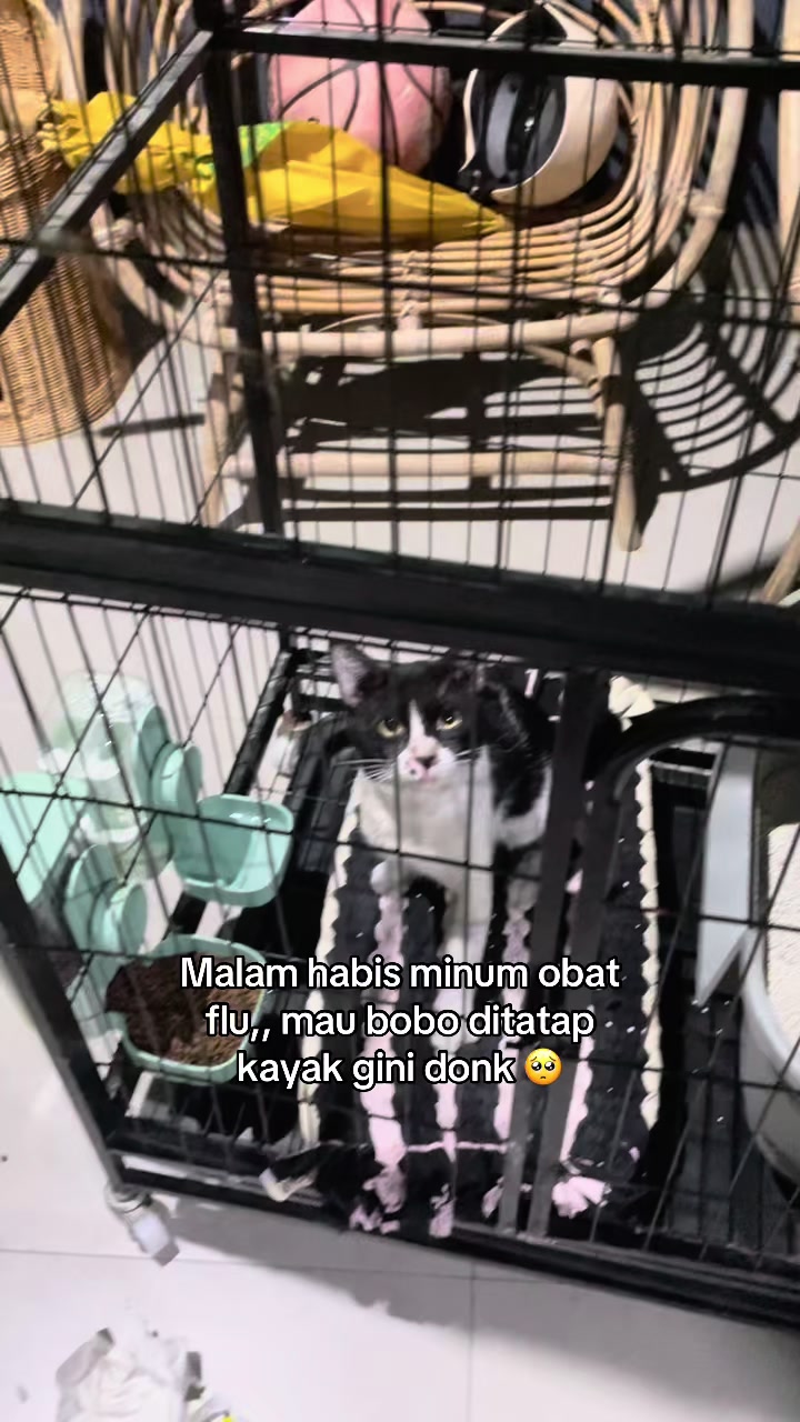 @Mommy, Eyon & Oyenz