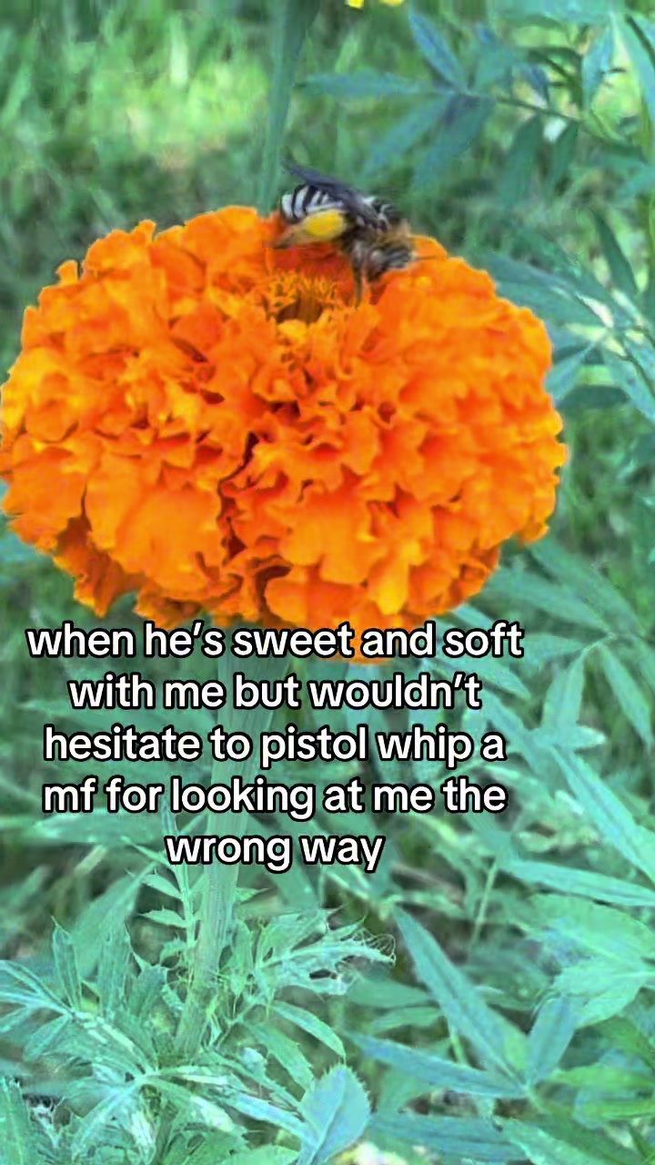 @MelissaWrightington