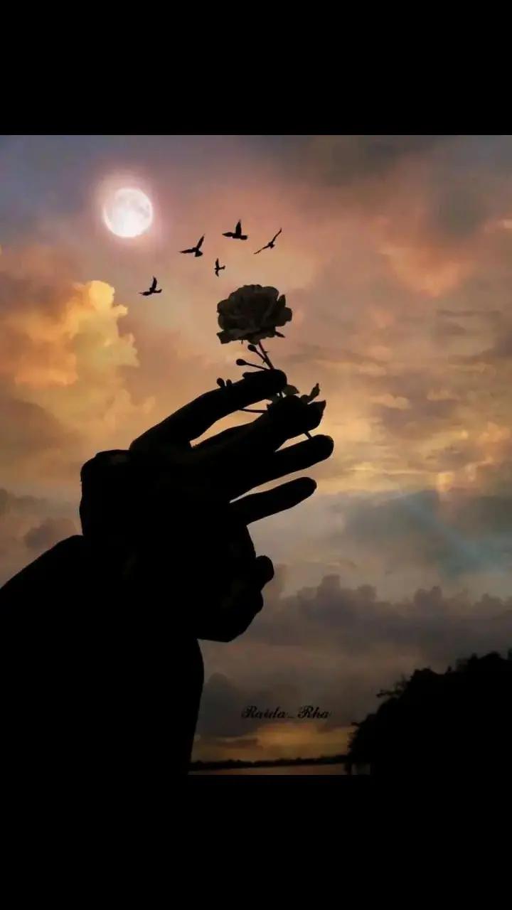 @Writer.Sahib1