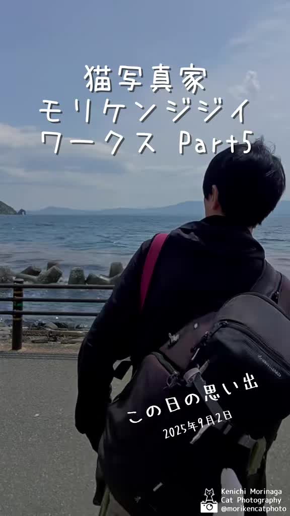 @猫写真家 森永健一