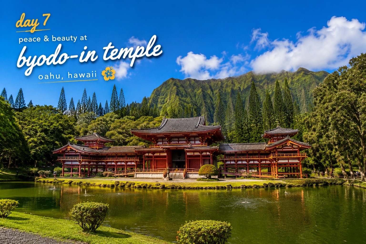 @Travel with Me