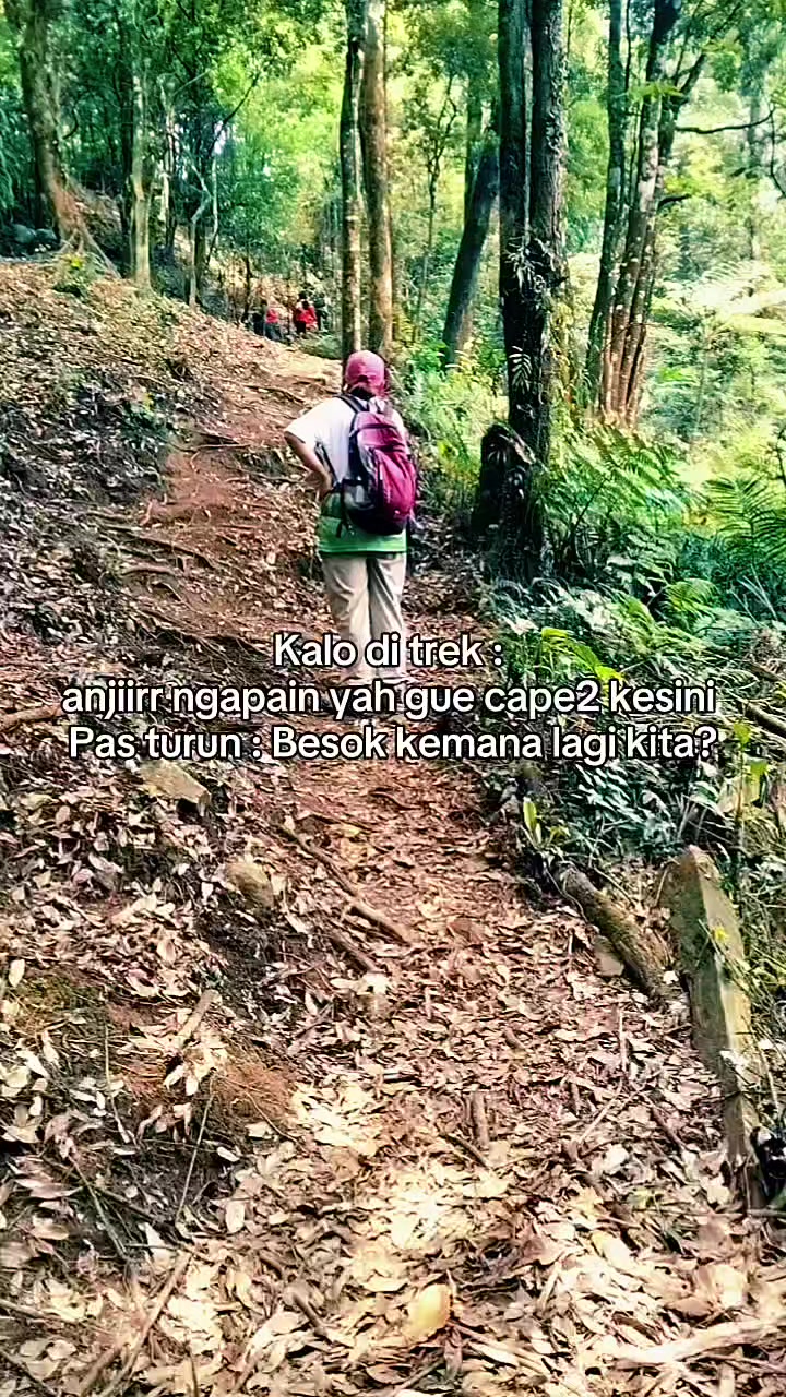 @Maya Hobi Trip