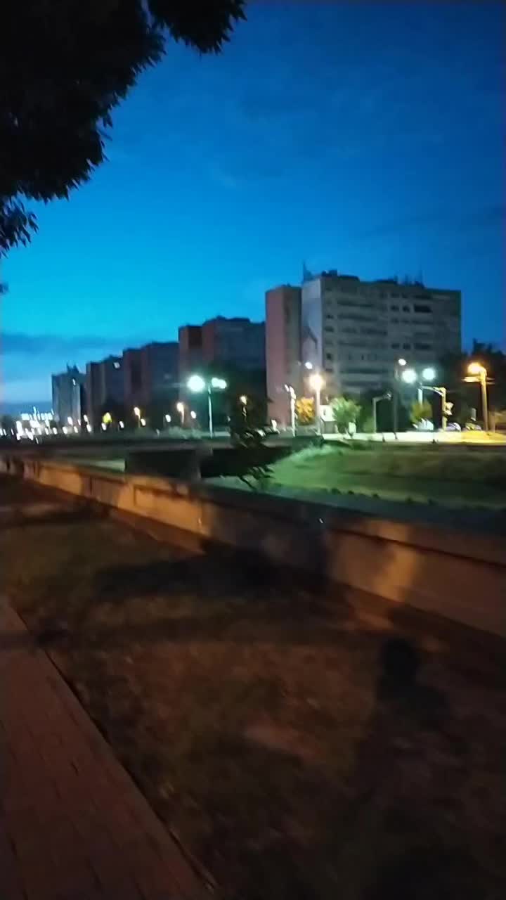 @Gelu Silion