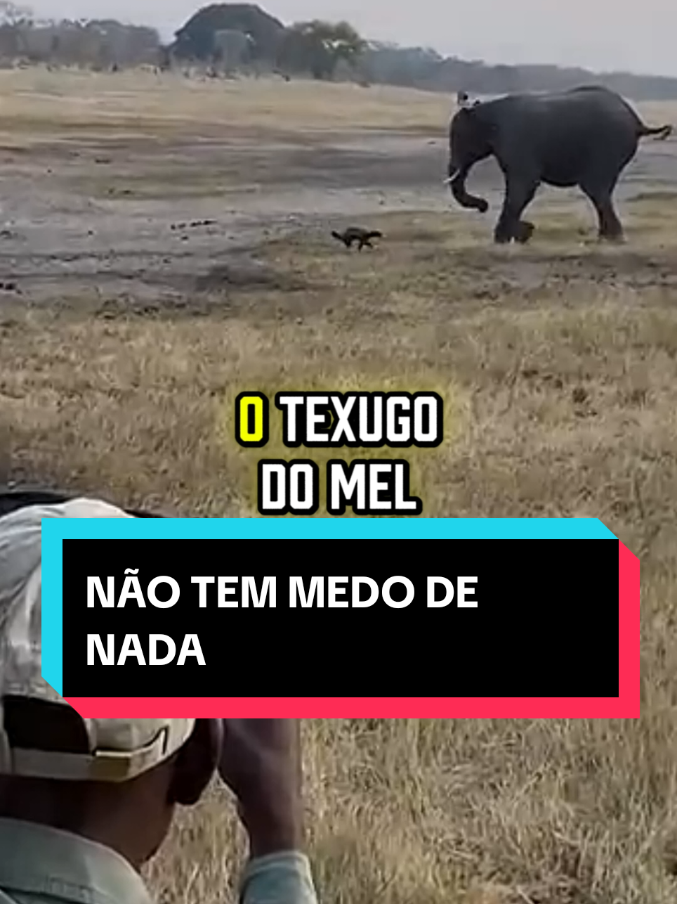 @curiosidadesemist&eacute;rio