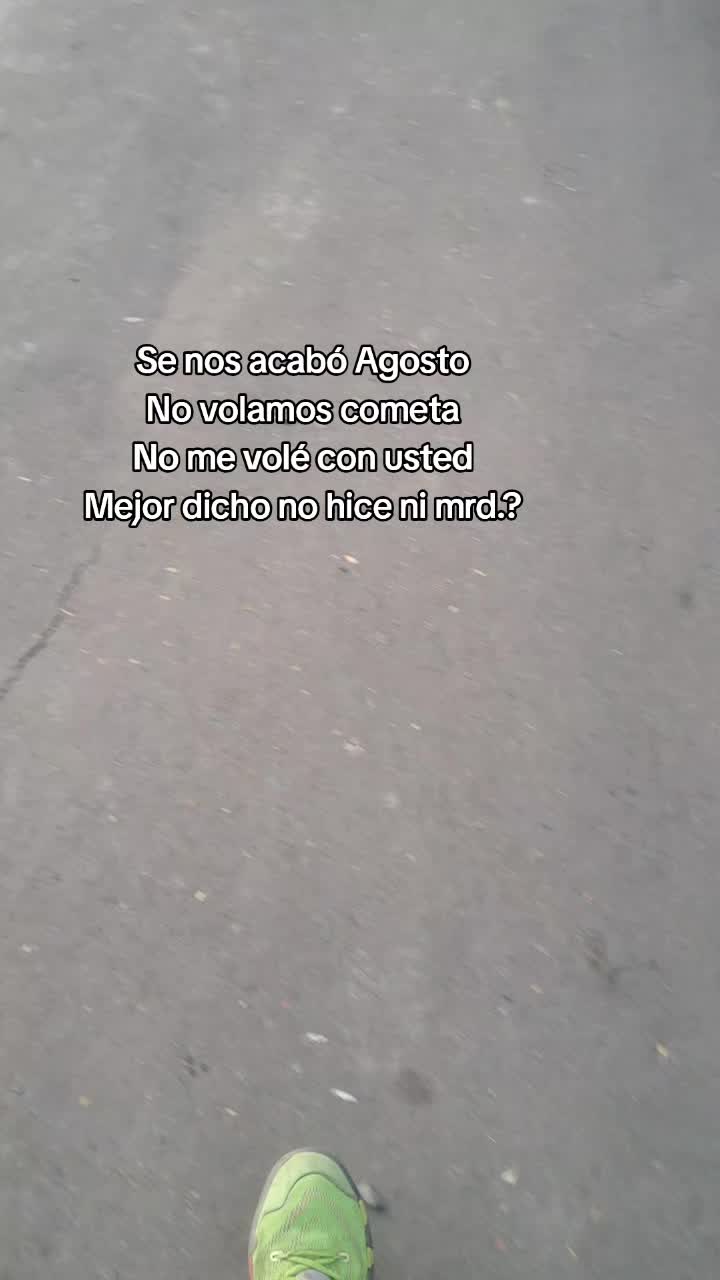 @203el mono.