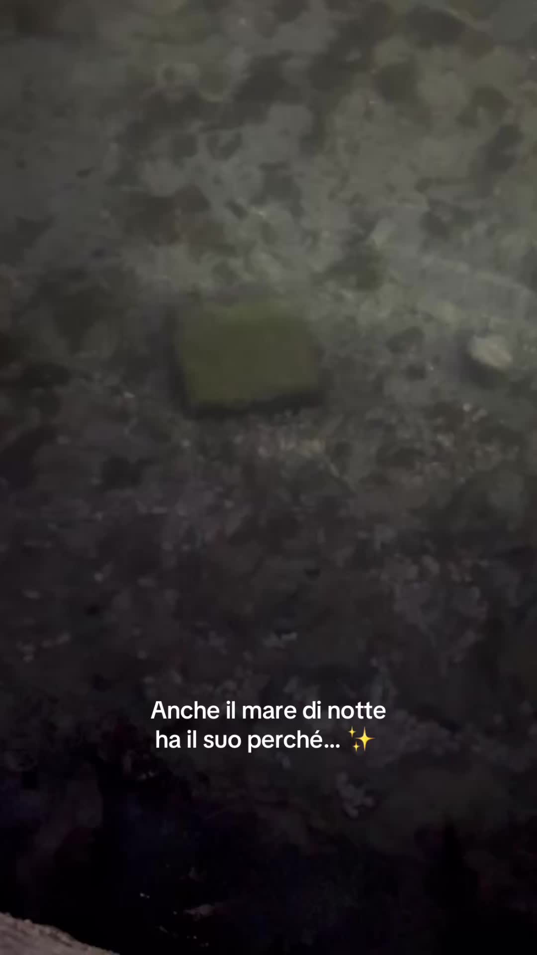 @Luana Roberta Lattanzi Grassi