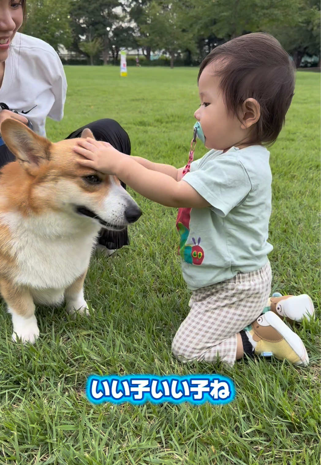 @トロン