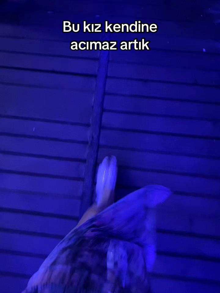 @🐆