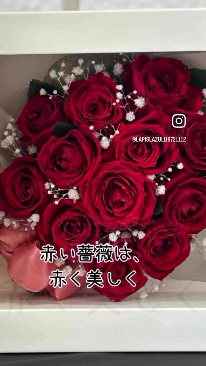 @lapislazuli19721112
