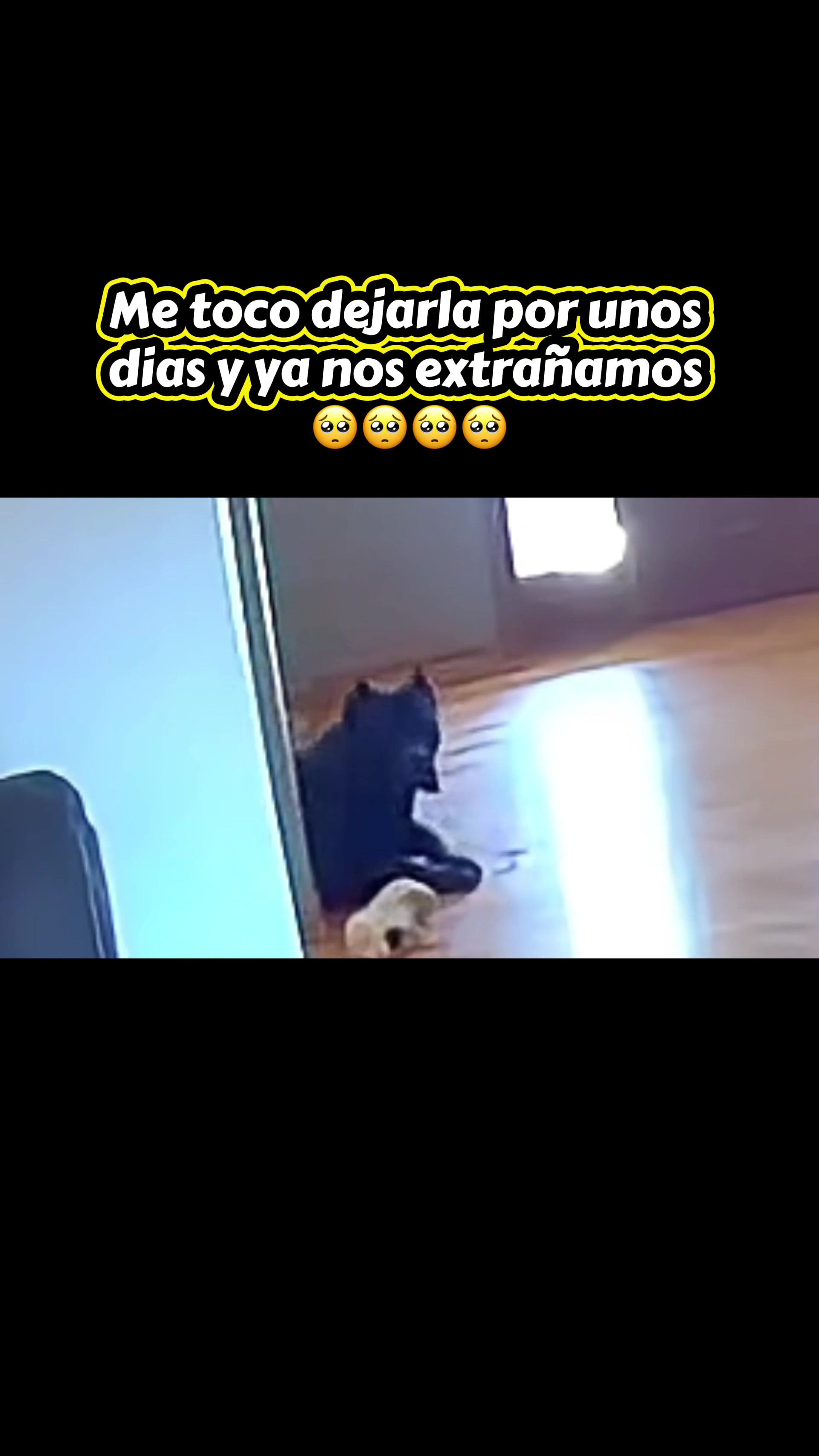 @Karinayosiel