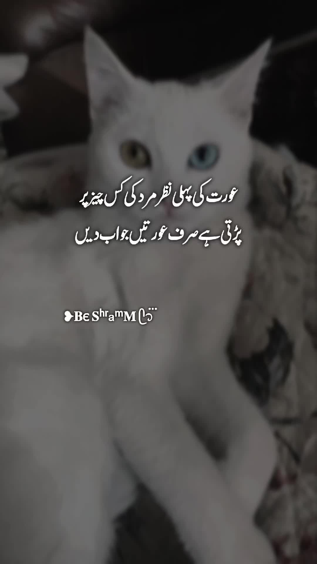 @❥𝐁є 𝐒ʰʳaᵐ𝐌 ᥫ᭡፝֟፝֟