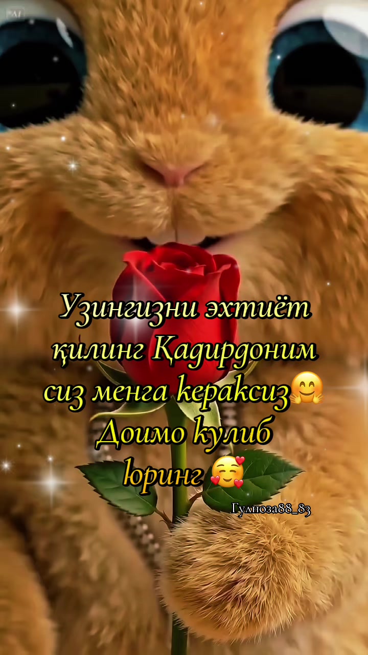 @🍃🌹Gulnoza🌹🍃