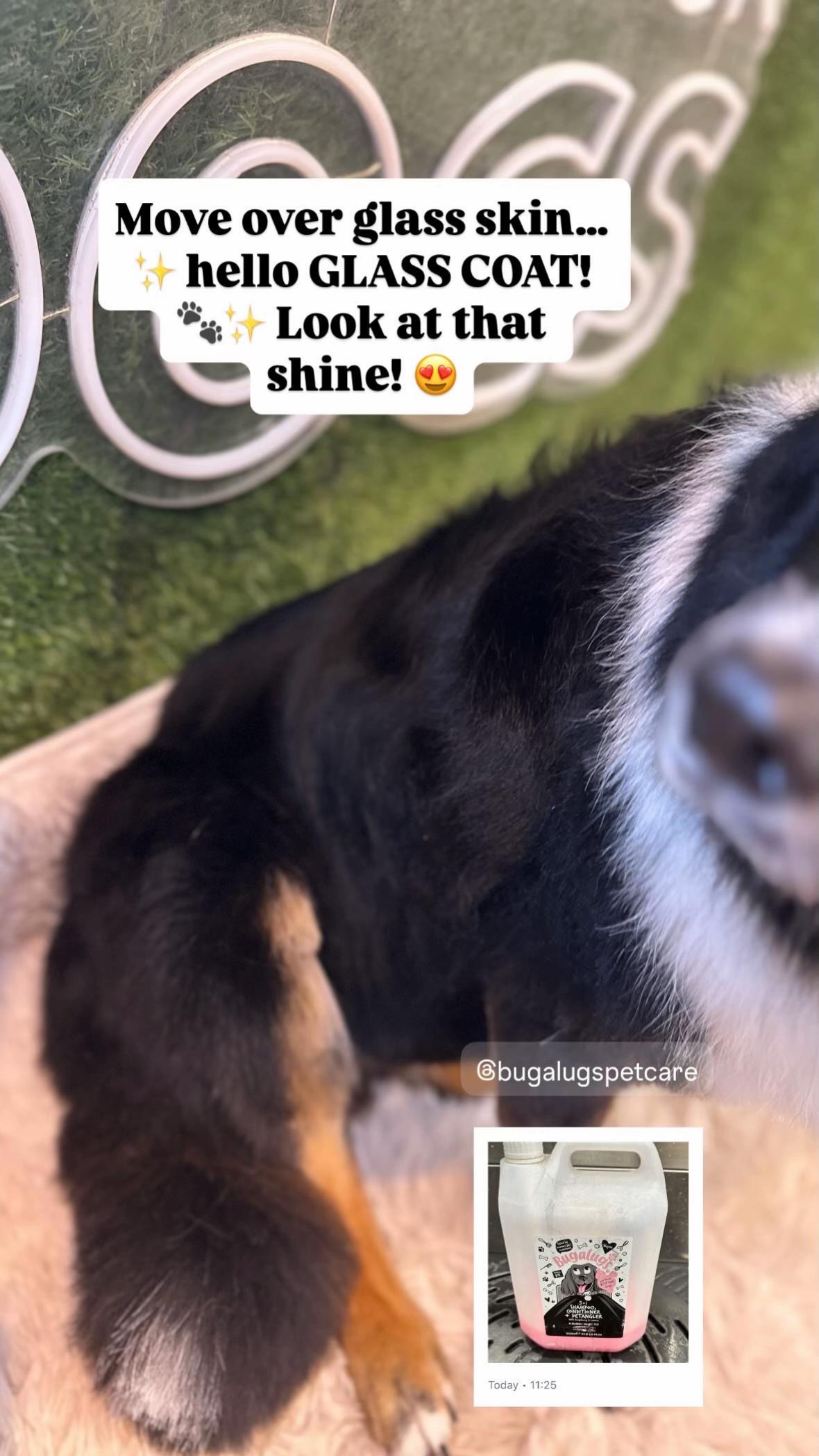@DevenickDogs