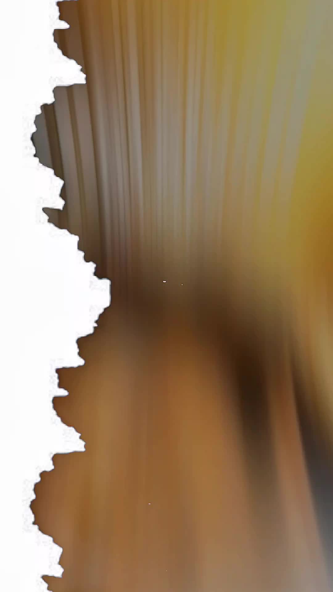 @S_H_E_R_I_N_🦋_ജെസ്സു_🦋