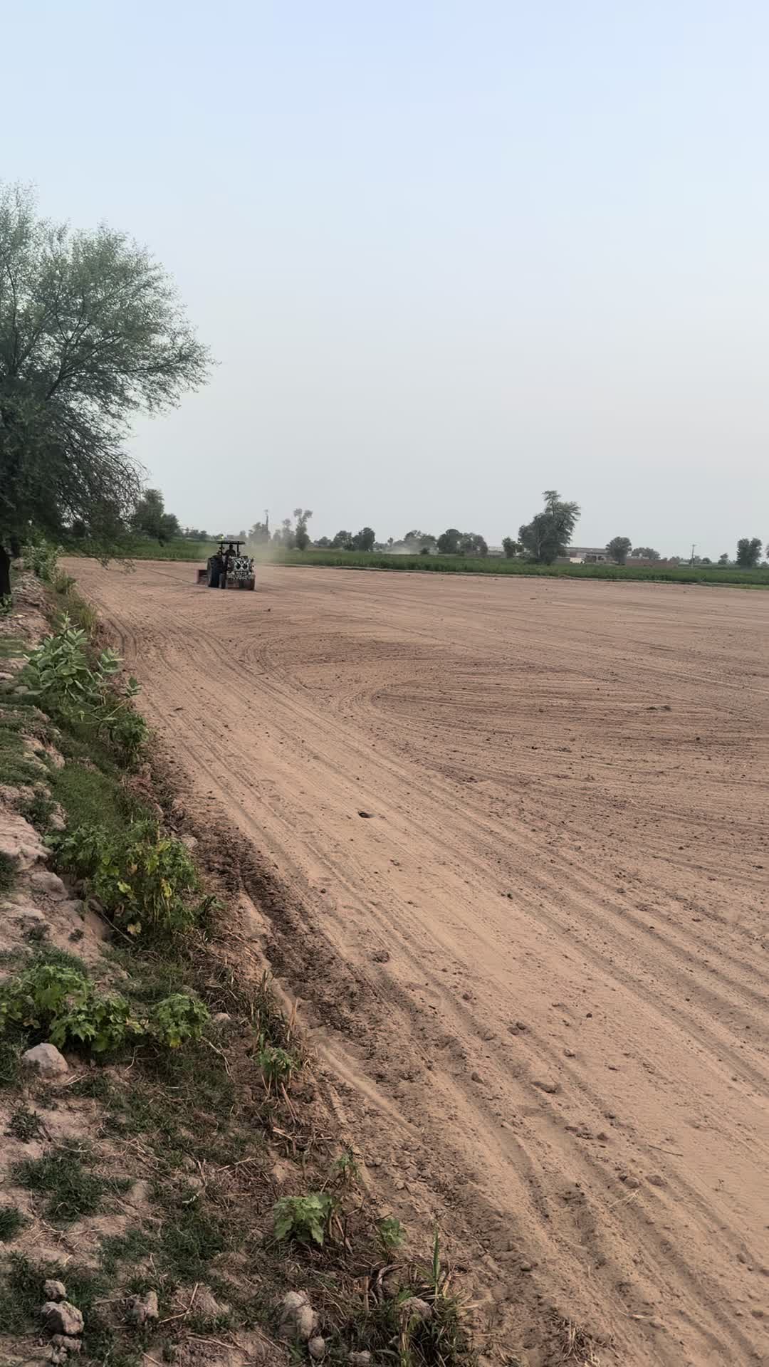 @Malik Dairy Farm 265HR