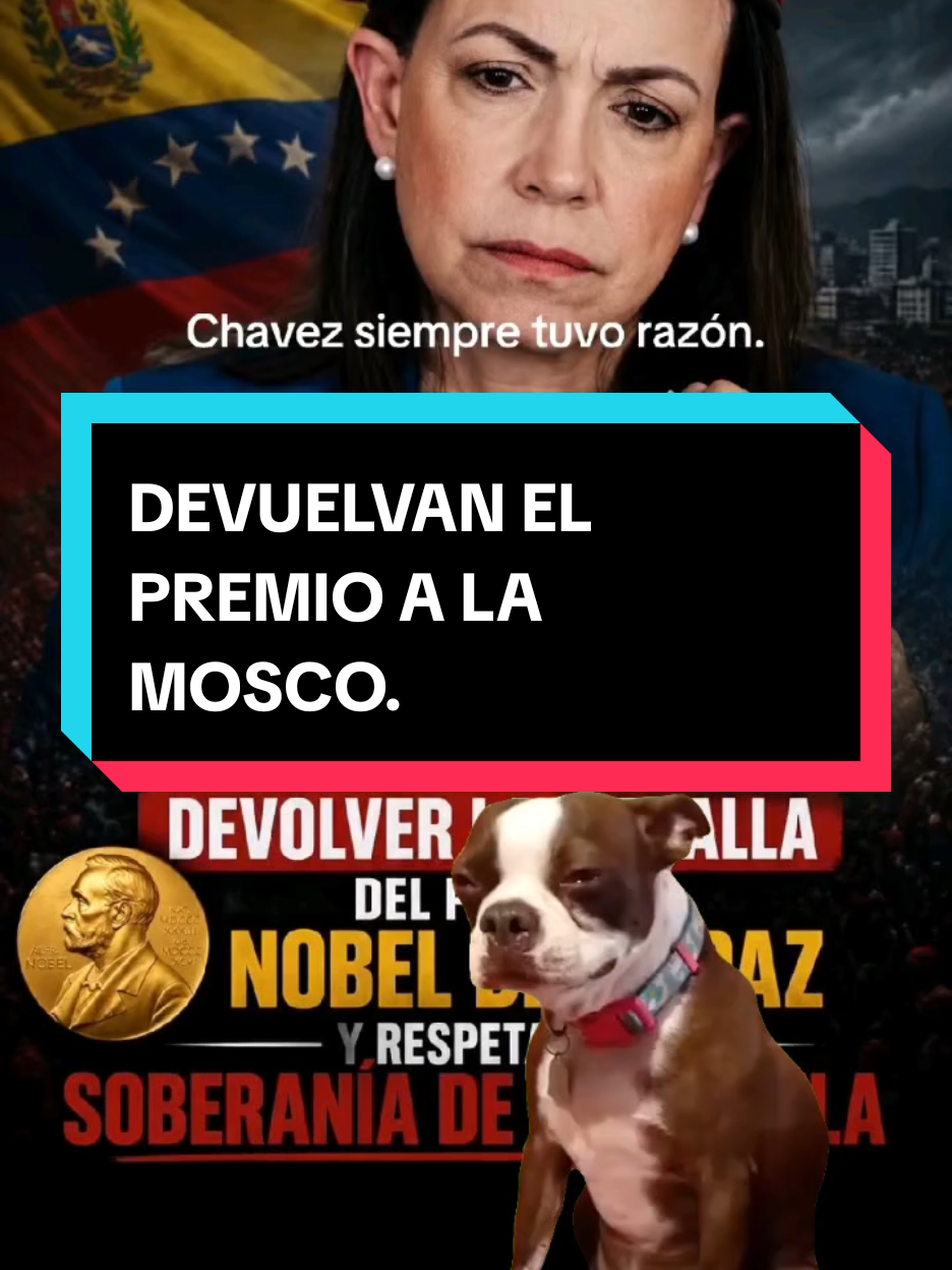 @CHOMPIRO50