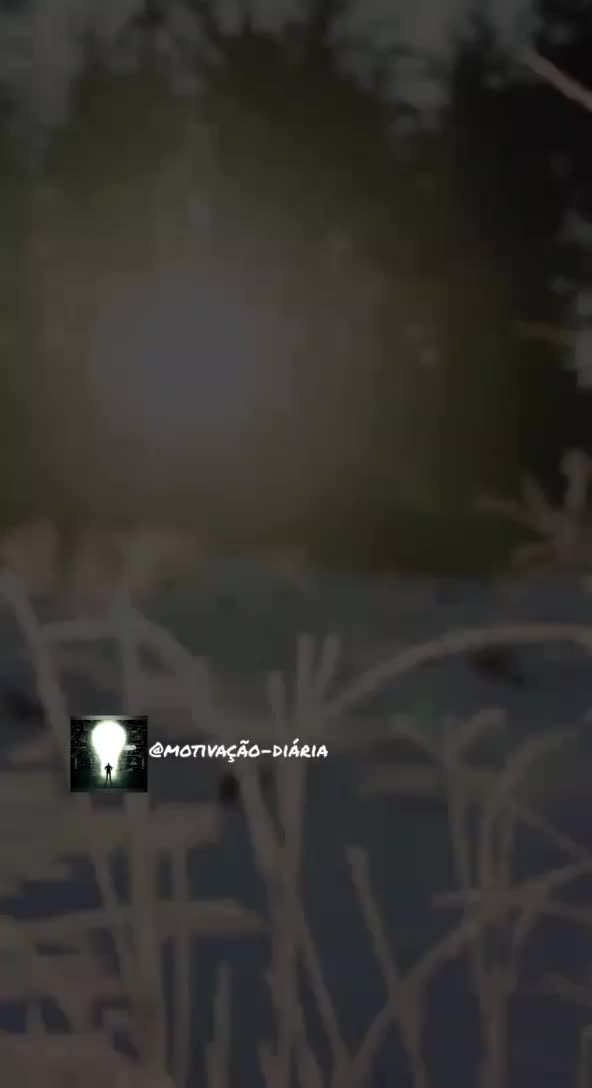 @Motivação_Diária