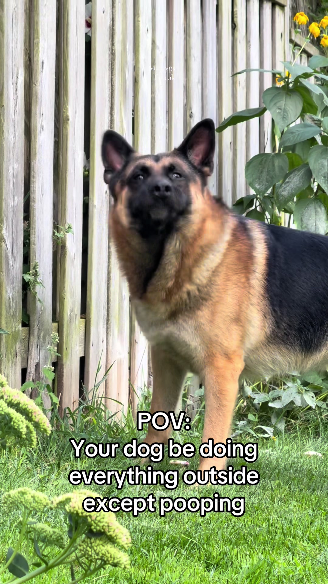 @Martygsd