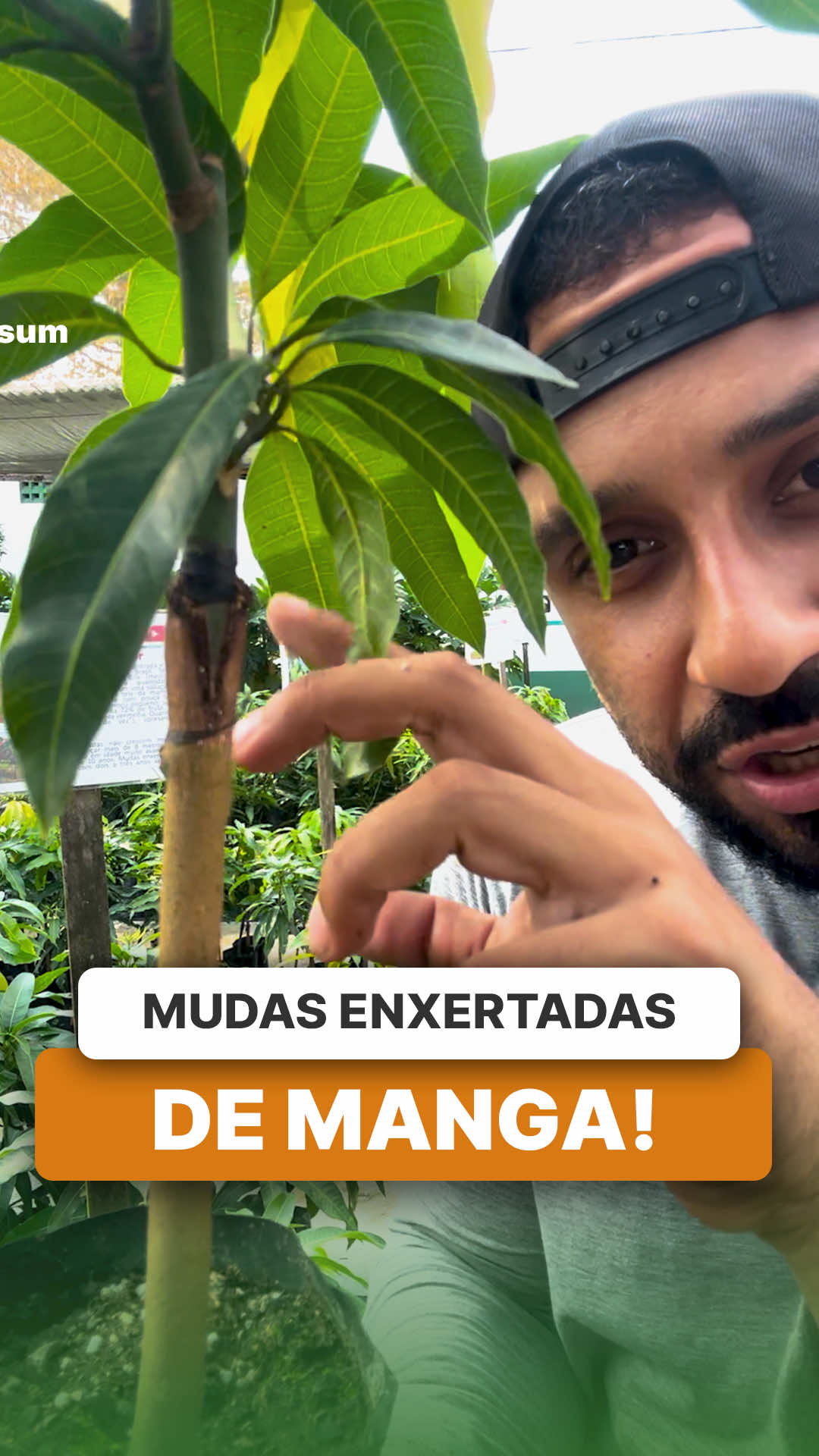 @ViveiroProMudas