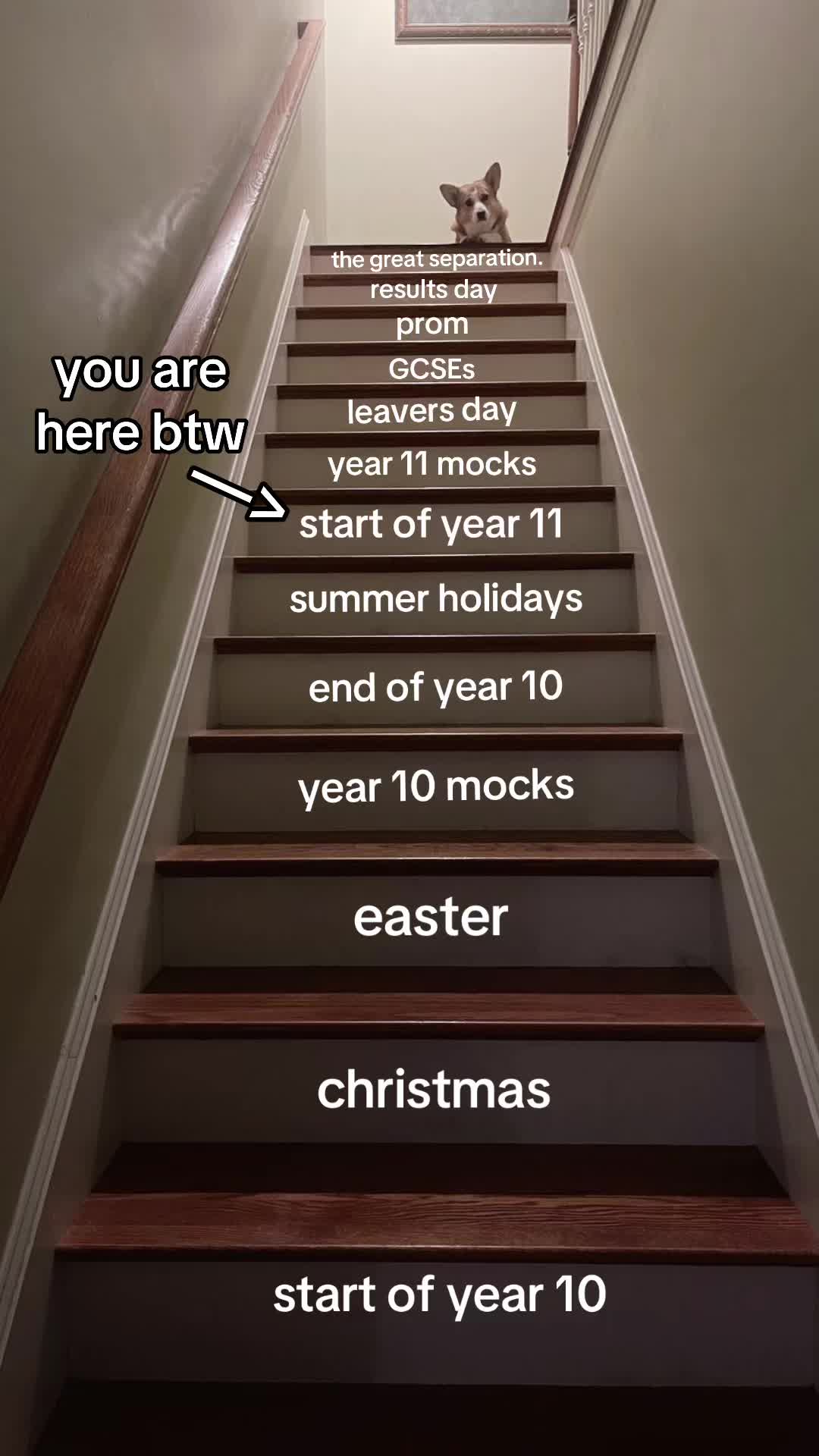 @revyzewithme