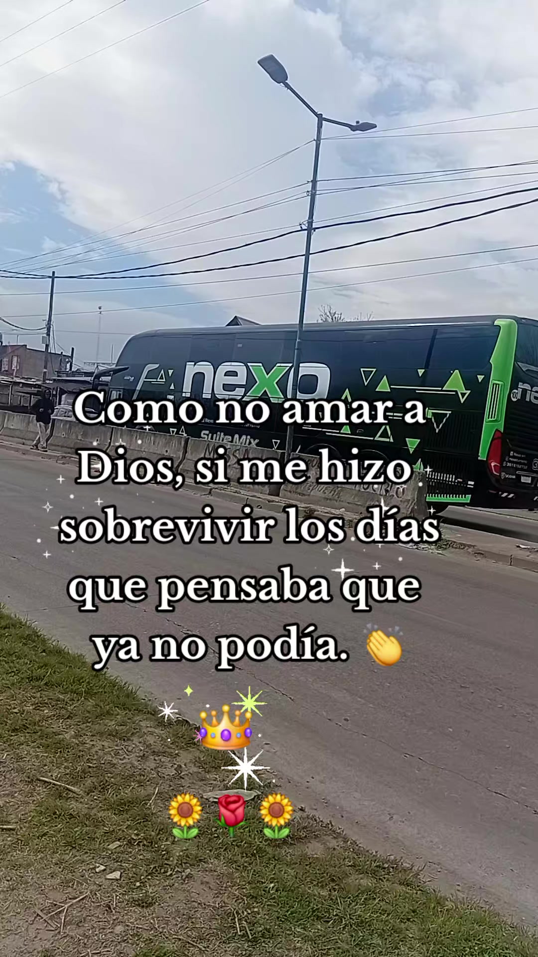 @Emy_Mary🇧🇴🇦🇷🐇🌿