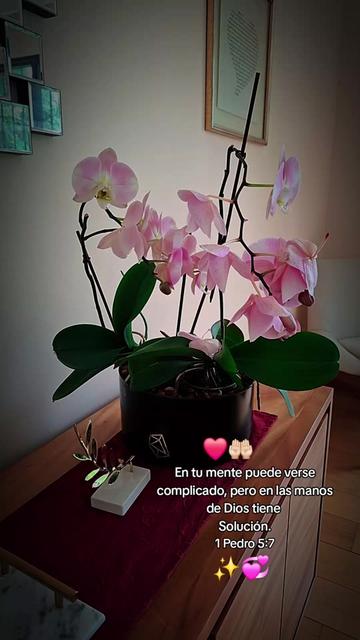 @vivian