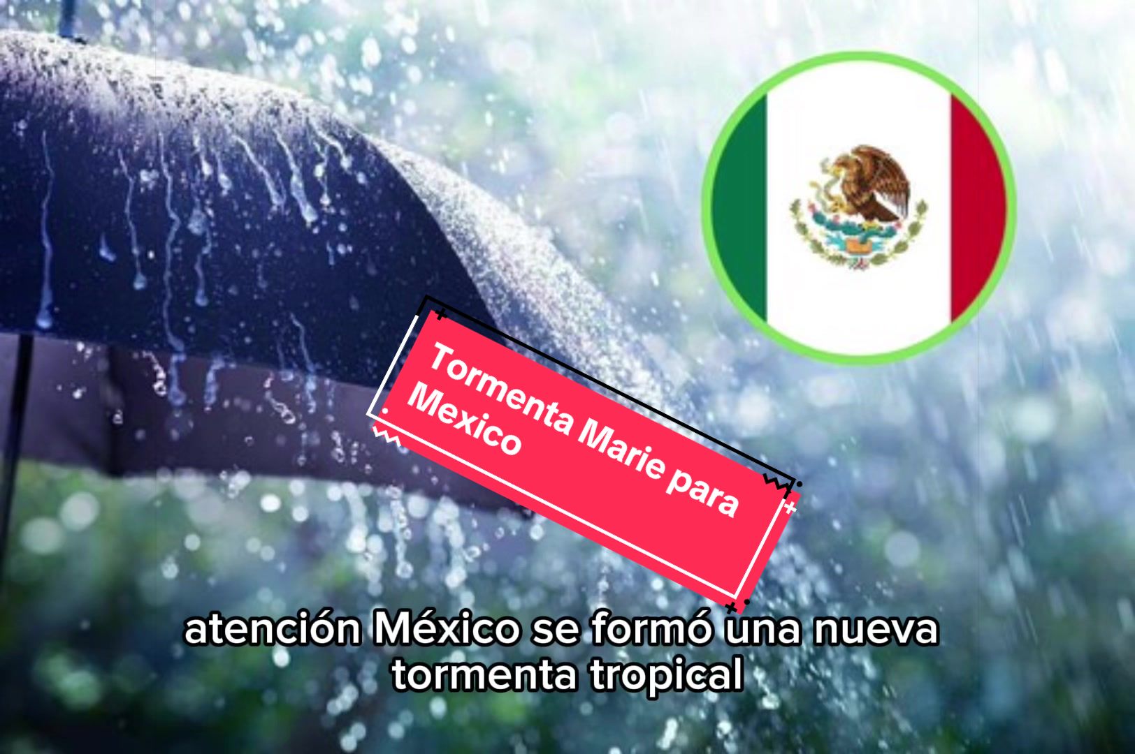 @La Neta Del Ambiente