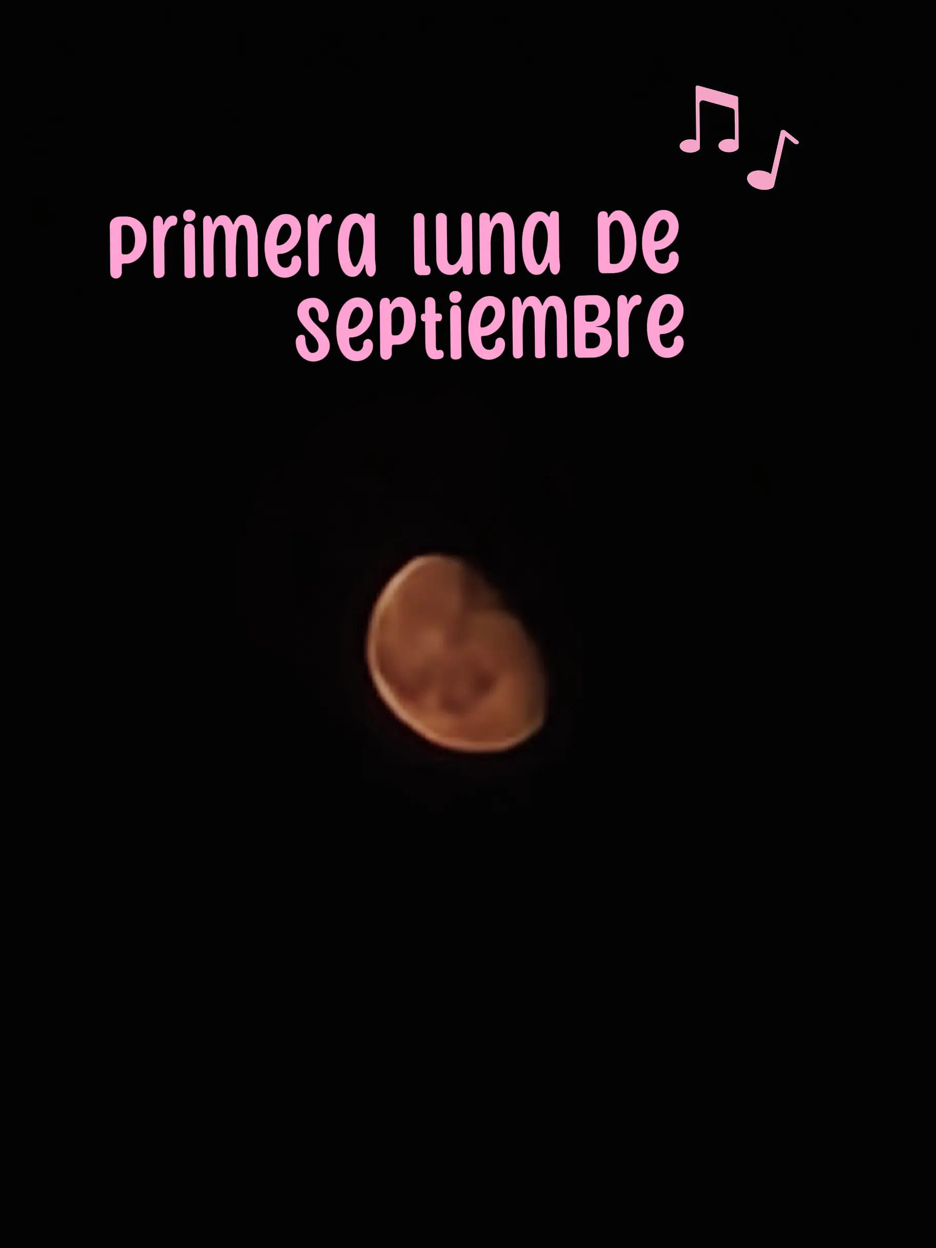 @MirenMC