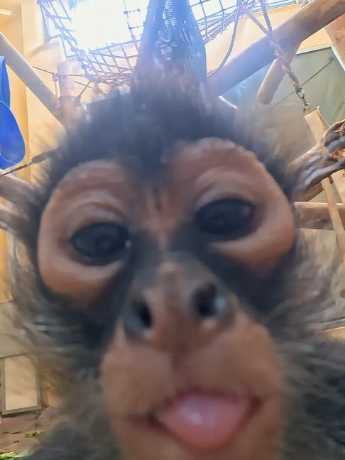 @The Toledo Zoo