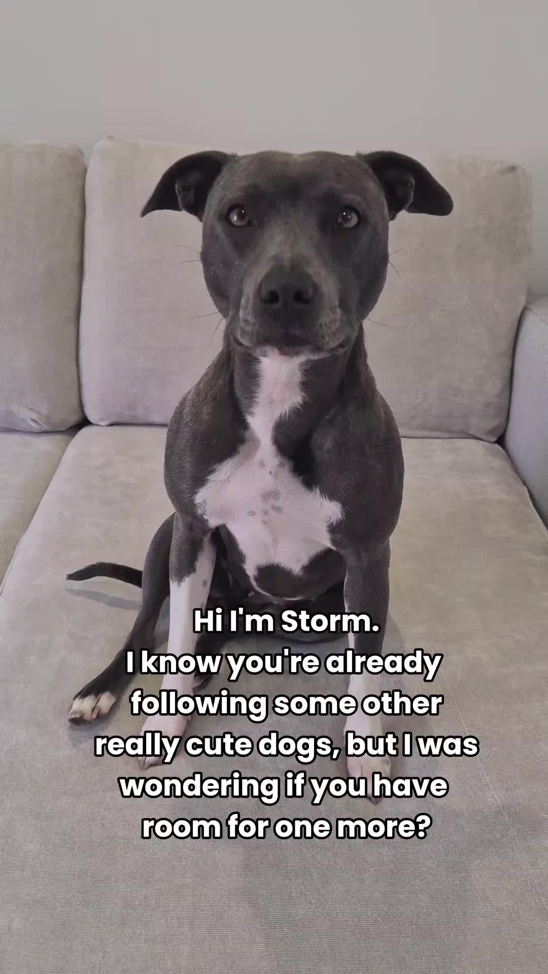 @Sky & Storm
