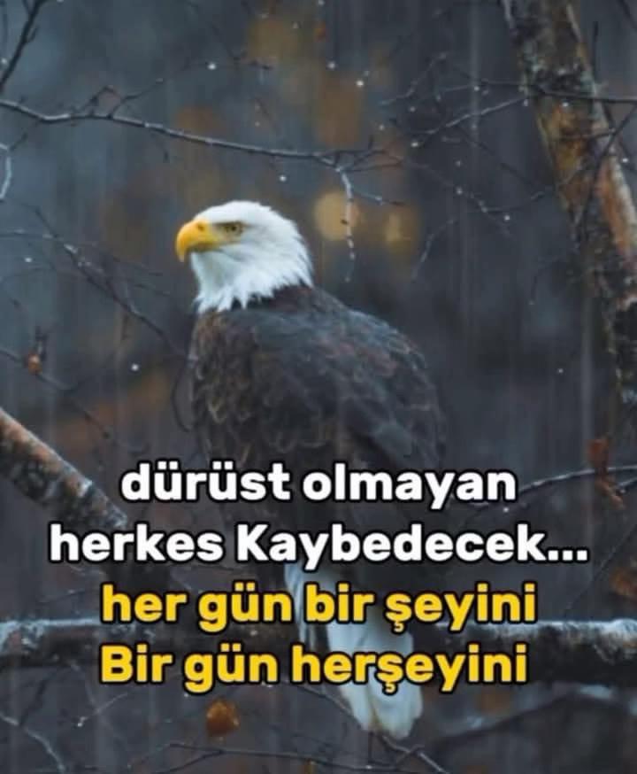 @03 muzaffer