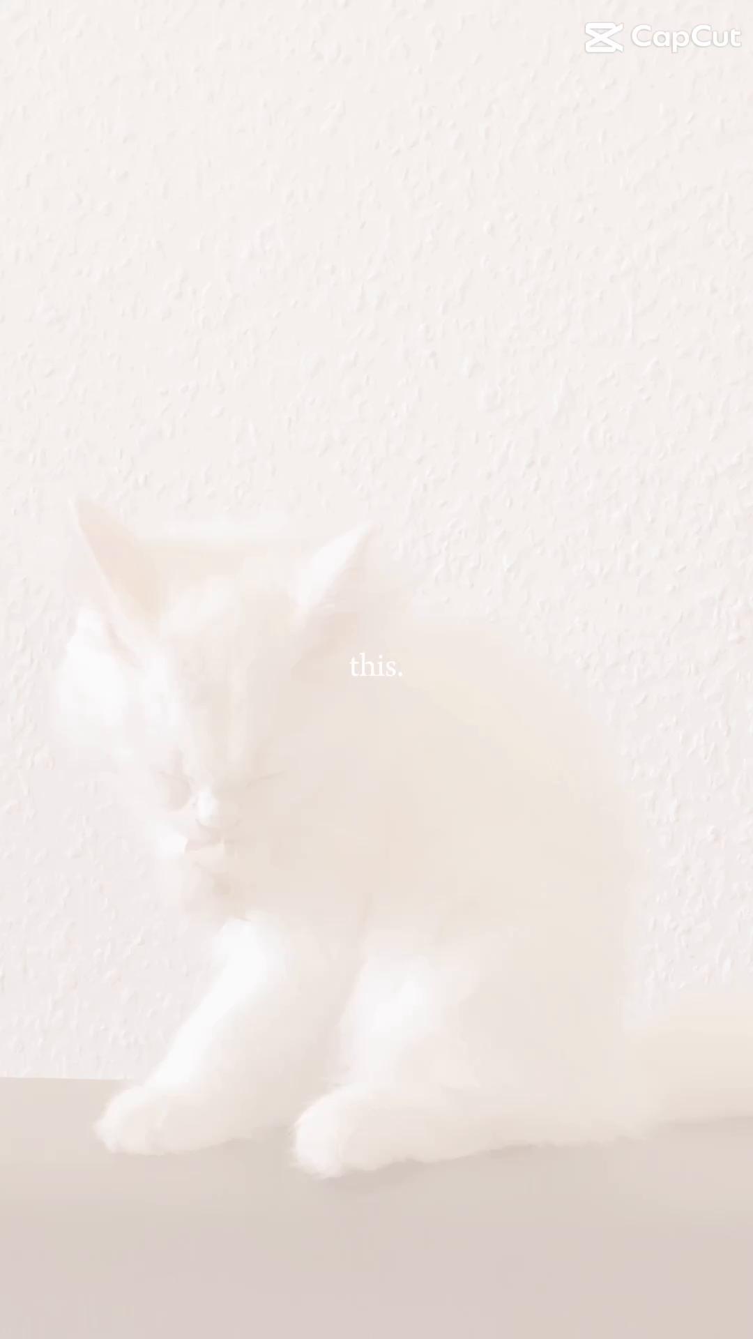 @Alina Marie 🖤