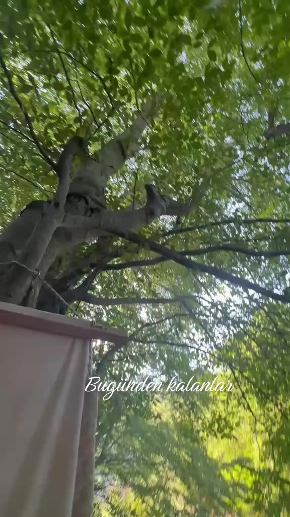 @DR CLİNİC ŞEVVALNUR
