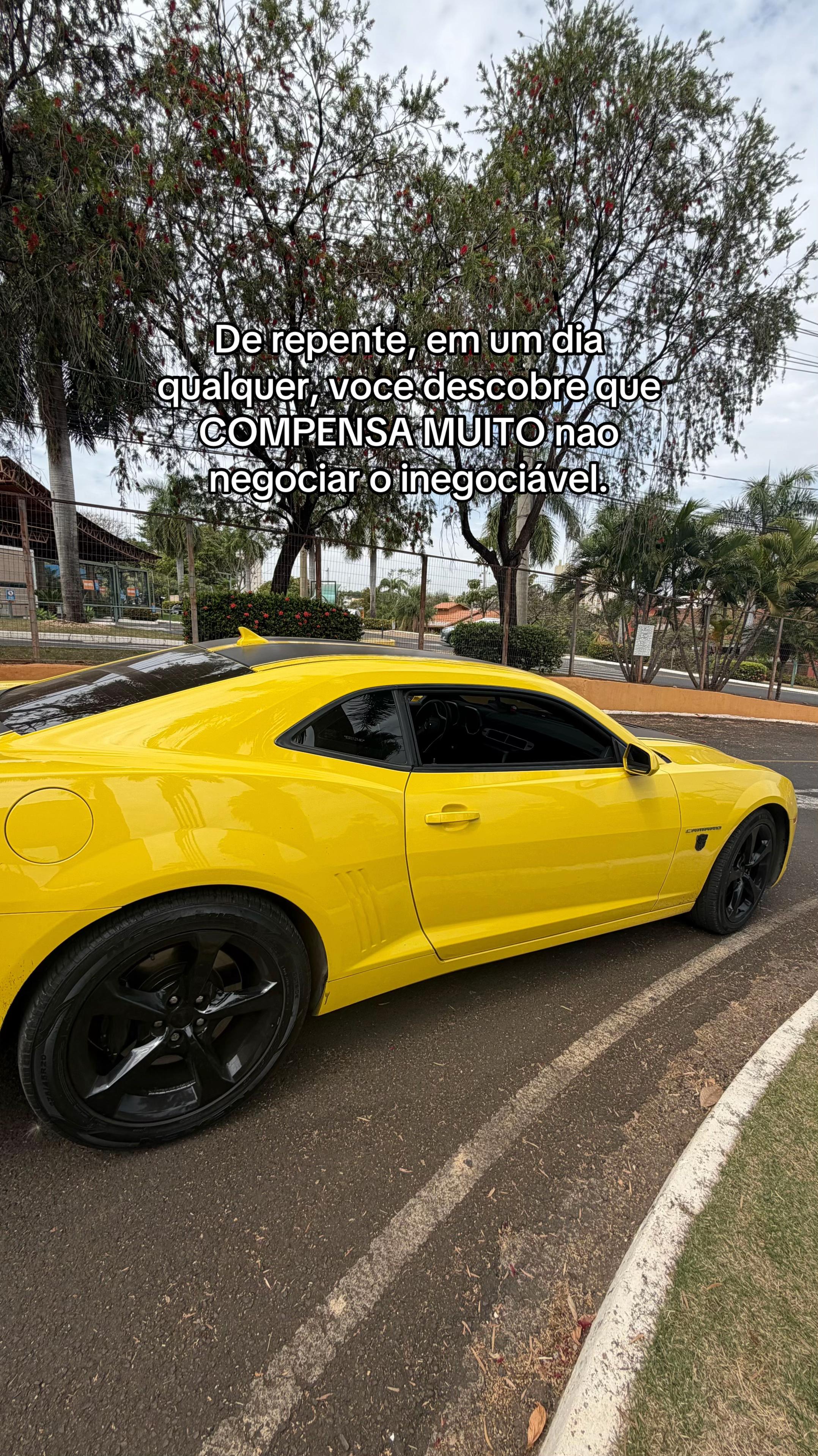 @Dinalva Vasconcelos