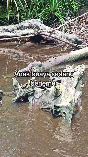 @Atlas