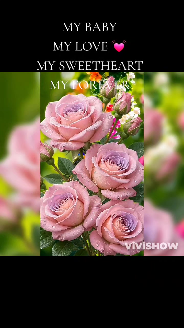 @SWEETIE 💕 💕