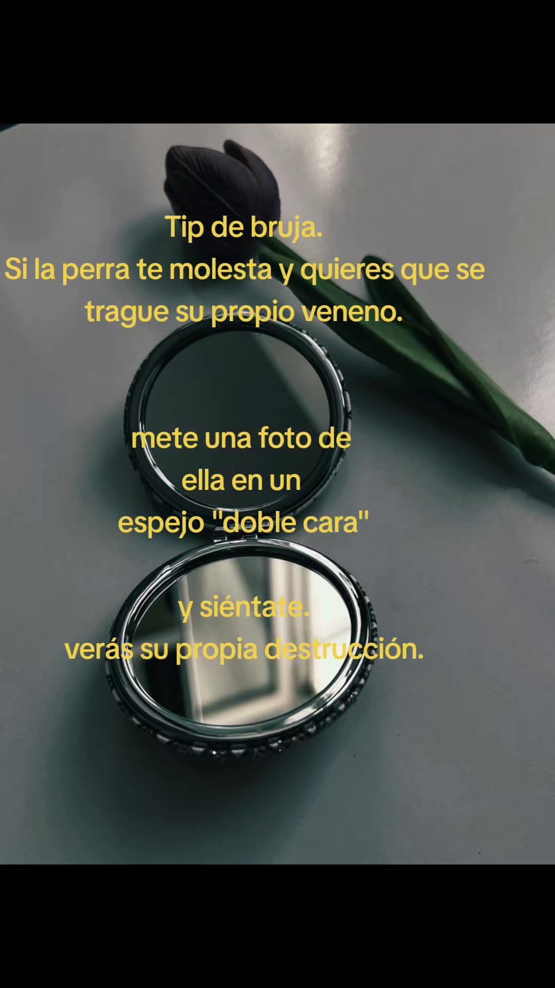 @Miss de Howarts🍀🌟🕯️