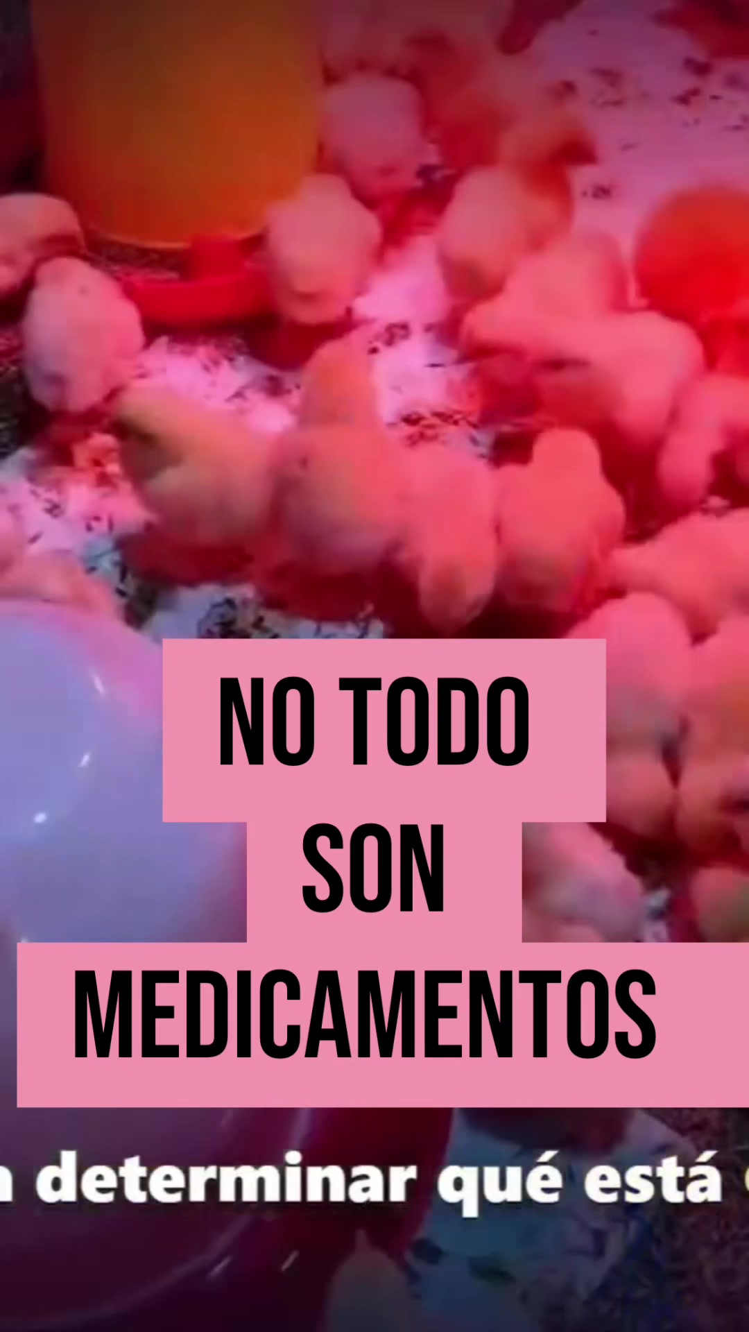 @ING. Esneider Rivera R