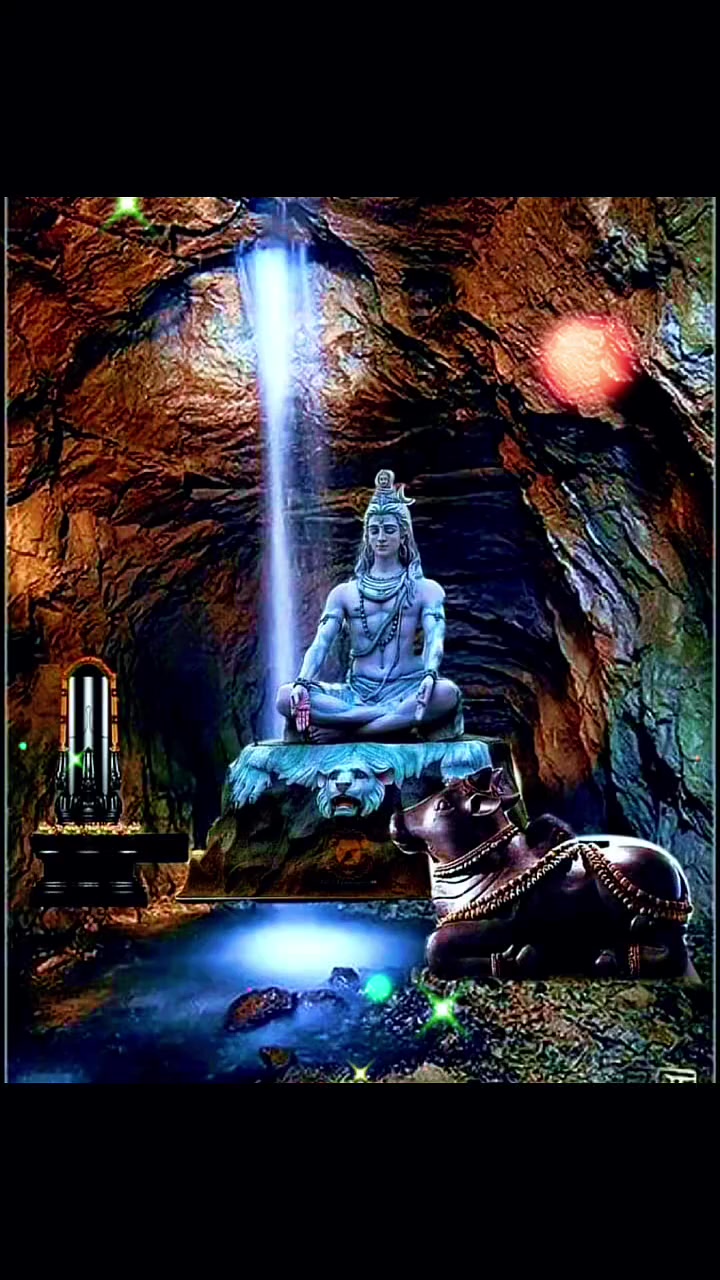 @Ayansh Anuj Mandal 🌹🌹🌹🌹