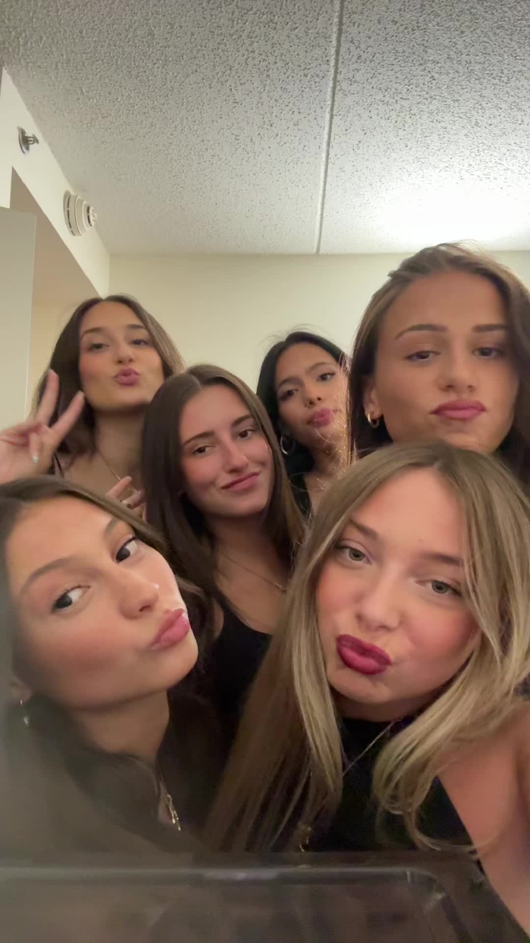 @bellaserp