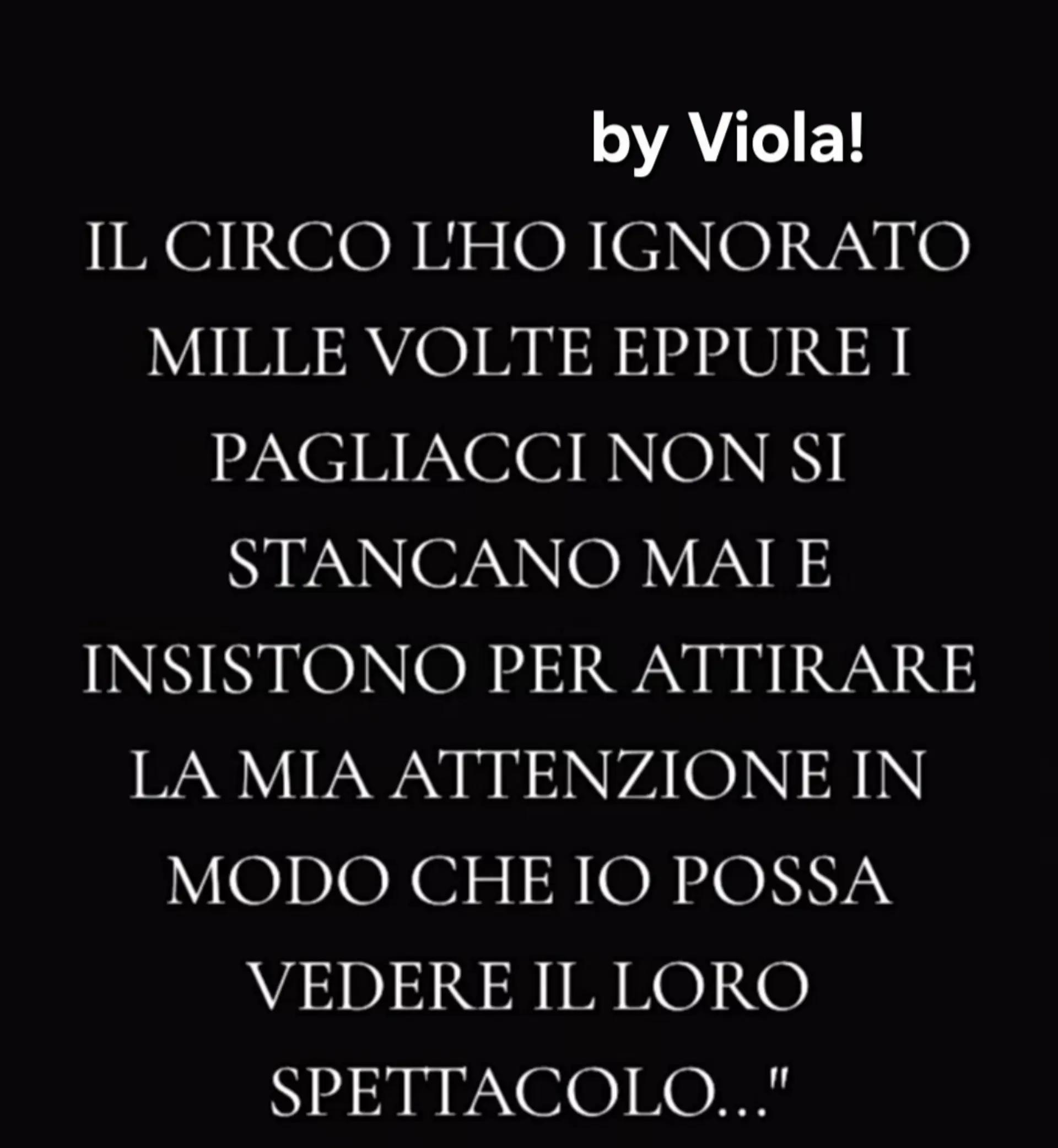 @Viola 8080