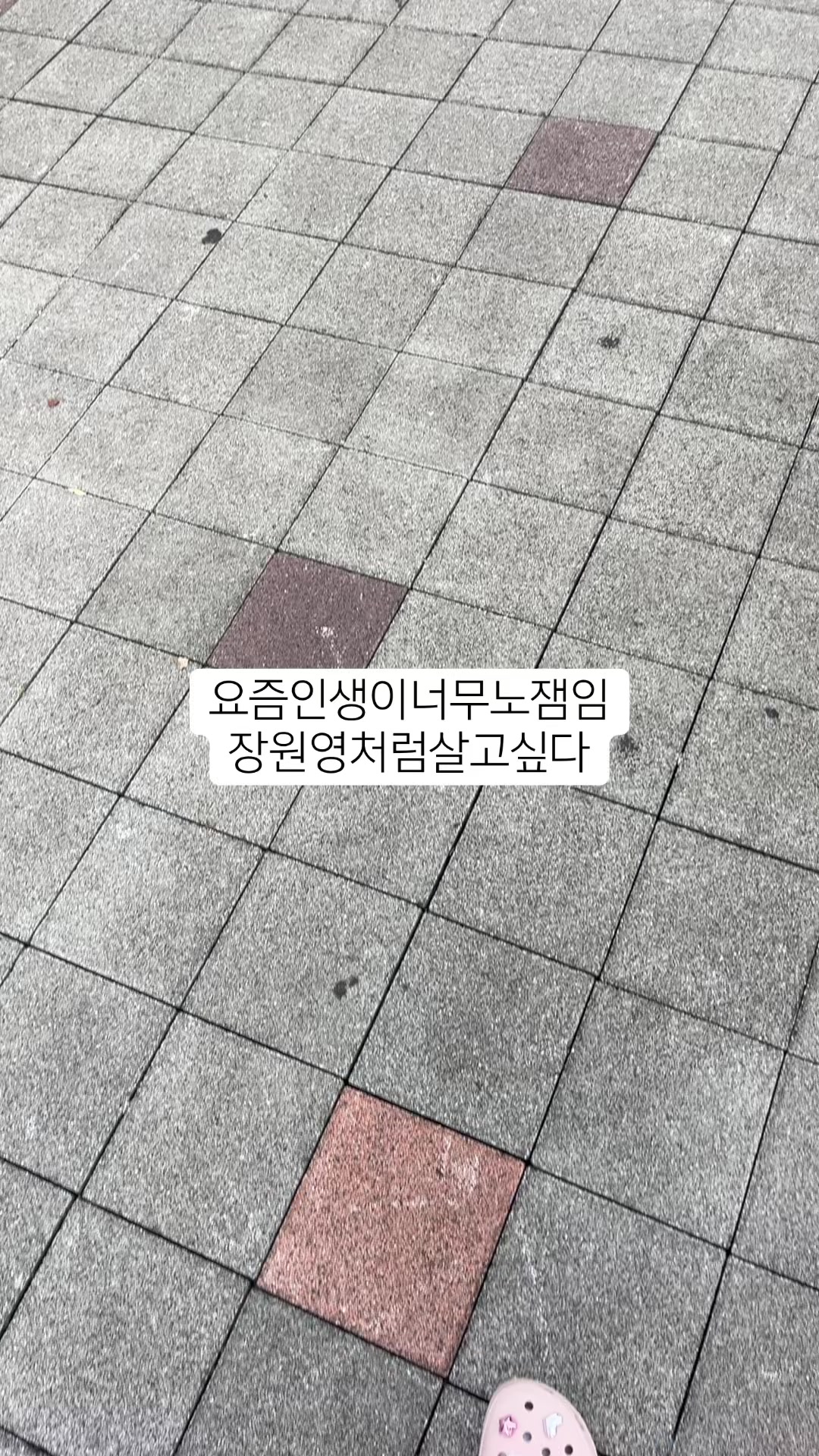 @얼음정수기