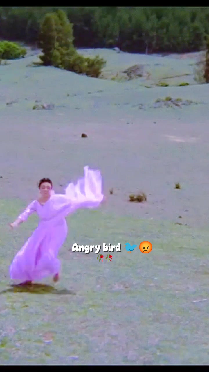@💫𝖆𝖓𝖌𝖗𝖞 𝖇𝖎𝖗𝖉𝖘💫💥