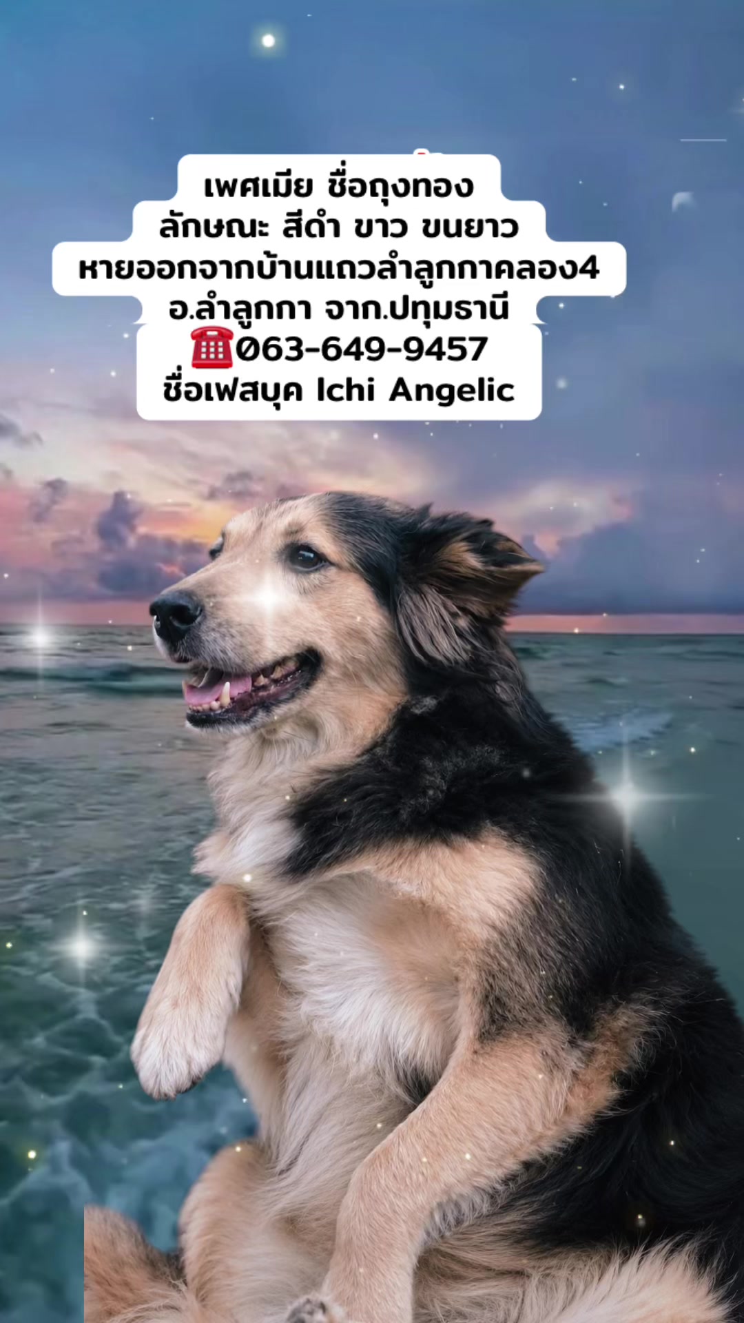 @Saowanee Sriya