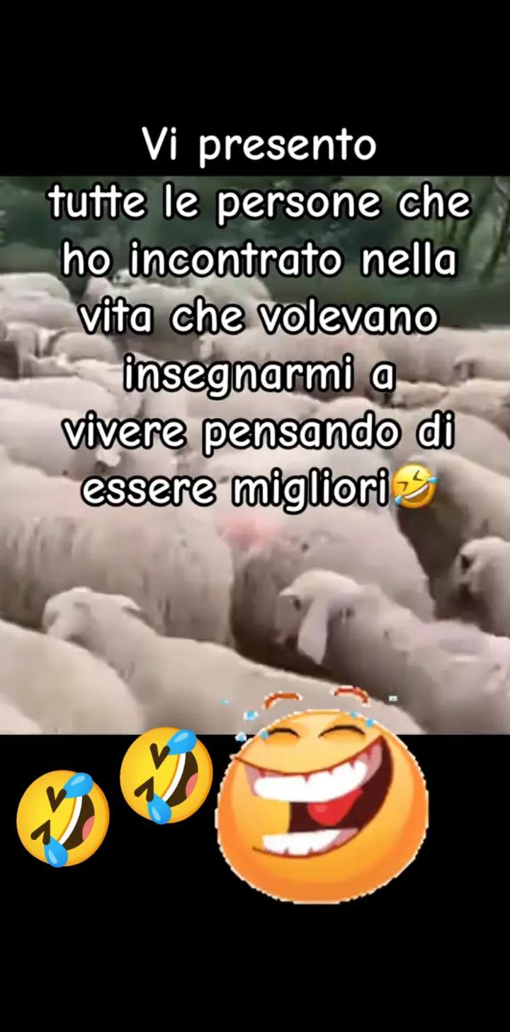 @benedetta testa