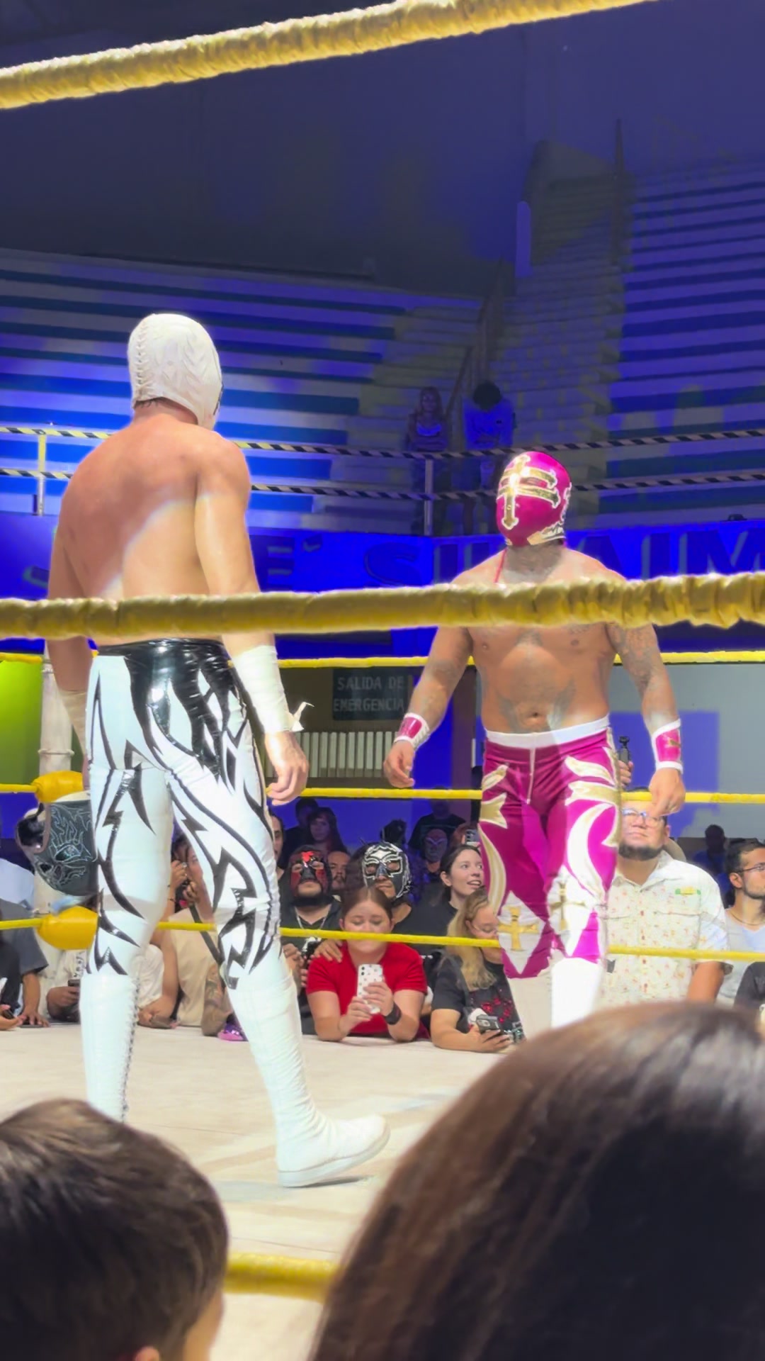 @VIDEO FACE WRESTLING