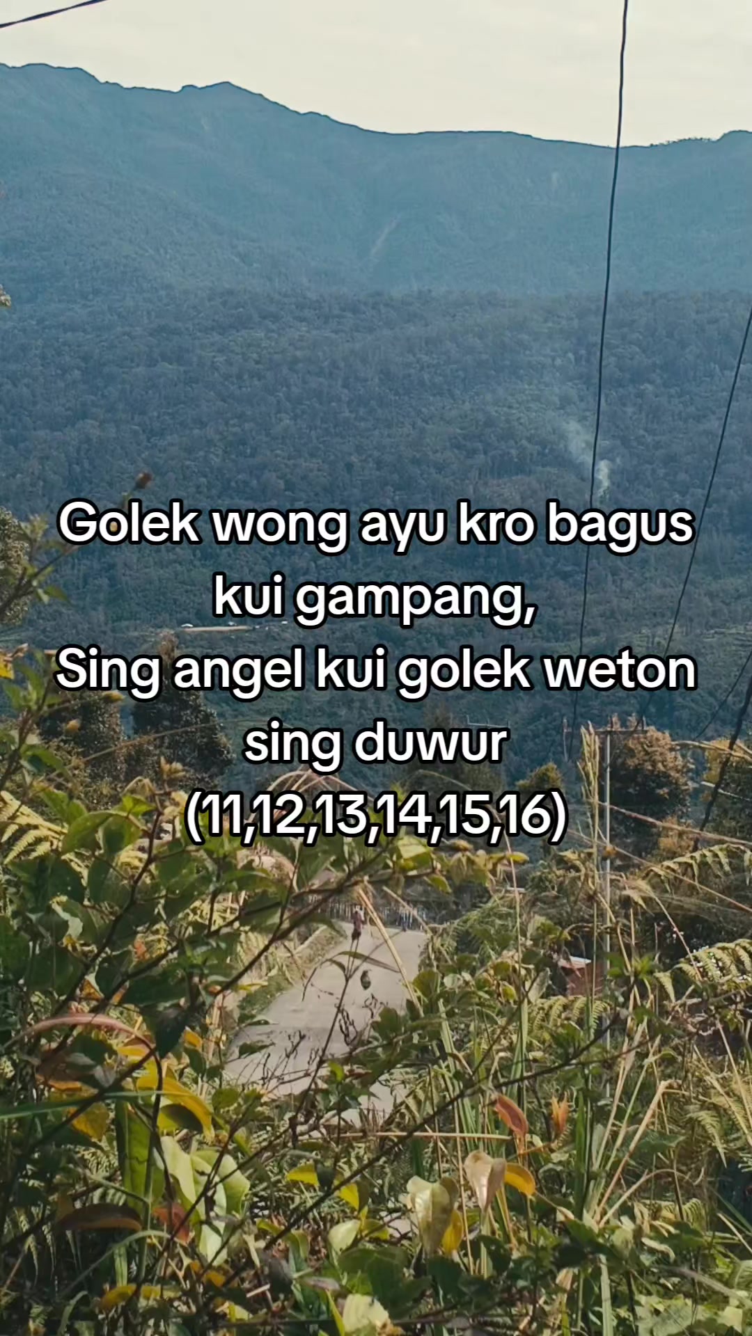 @Ardi project